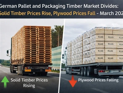 German Pallet And Packaging Timber Prices Continue To Rise in March 2026